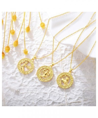 Zodiac Sign Necklaces for Women Gold Coin Constellation Pendant Necklaces Horoscope Jewelry Birthday Gift Cancer -pattern $8....