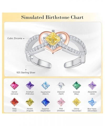 Women Rings 925 Sterling Sliver Heart Ring for Women Infinity Birthstone Promise Self Love Ring CZ Halo Heart Adustale Rings ...