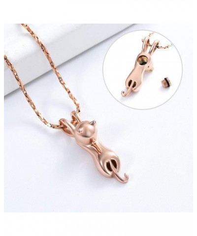 Pet Cremation Jewelry for Ashes Memorial Ash Jewelry Keepsake Cat Urn Pendants for Animal Ashes Necklace Rose Gold $9.67 Neck...