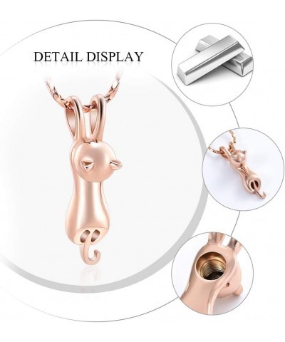 Pet Cremation Jewelry for Ashes Memorial Ash Jewelry Keepsake Cat Urn Pendants for Animal Ashes Necklace Rose Gold $9.67 Neck...