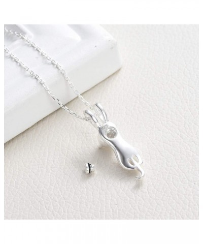 Pet Cremation Jewelry for Ashes Memorial Ash Jewelry Keepsake Cat Urn Pendants for Animal Ashes Necklace Sterling silver $9.6...