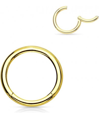 316L Surgical Steel Hinged Seamless Nose Rings Hoop 14G 16G 18G, Diameter 6mm 8mm 10mm 12mm, Gold/Rose Gold/Silver/Black/Rain...