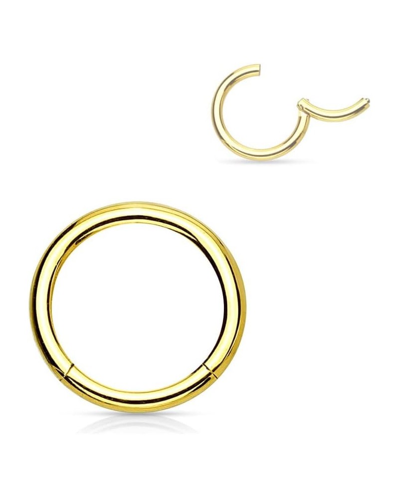 316L Surgical Steel Hinged Seamless Nose Rings Hoop 14G 16G 18G, Diameter 6mm 8mm 10mm 12mm, Gold/Rose Gold/Silver/Black/Rain...