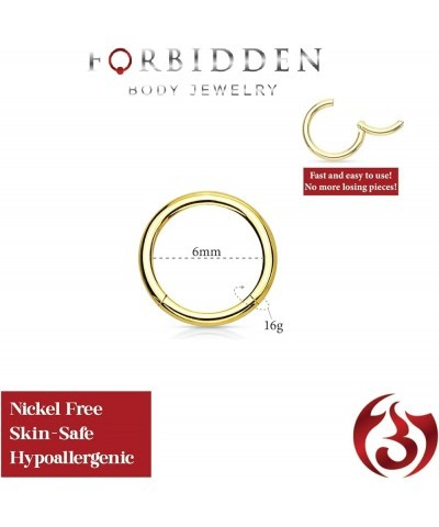 316L Surgical Steel Hinged Seamless Nose Rings Hoop 14G 16G 18G, Diameter 6mm 8mm 10mm 12mm, Gold/Rose Gold/Silver/Black/Rain...