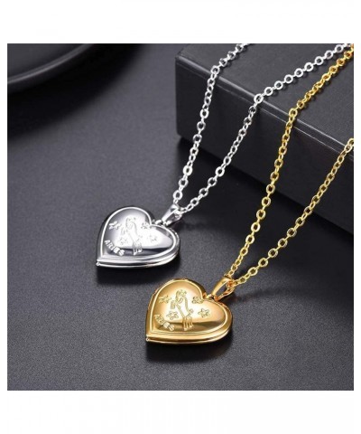 Heart Locket Necklace for Women Girls, Platinum/18K Gold Plated Classic Lockets Jewelry that Holds Pictures Constellation Sig...