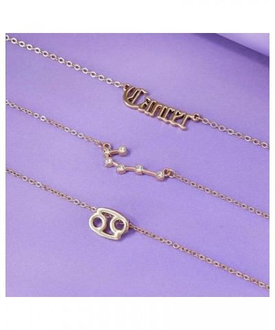 3Pcs Zodiac Necklace Set 12 Constellation Sign Pendant Necklace Astrology Horoscope Necklace With Gold Message Card Birthday ...